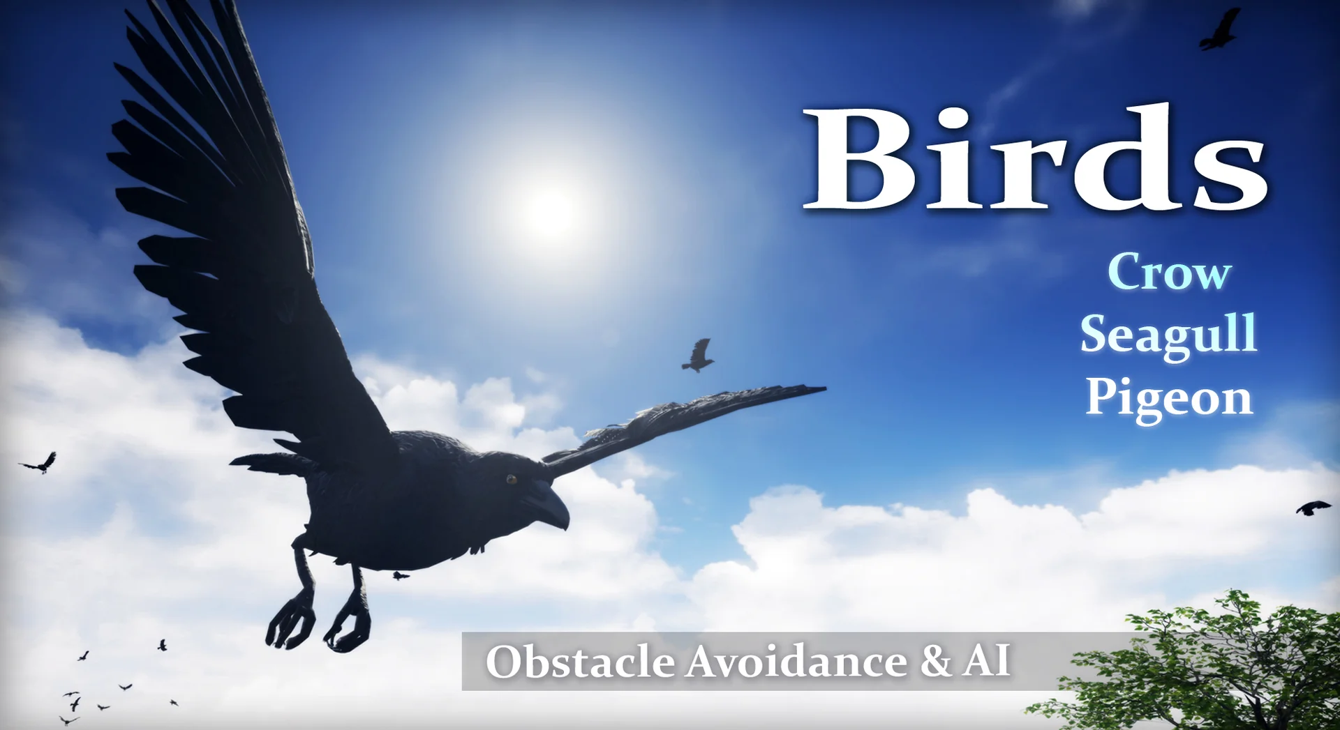 Birds