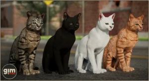 Animalia – Domestic Cat