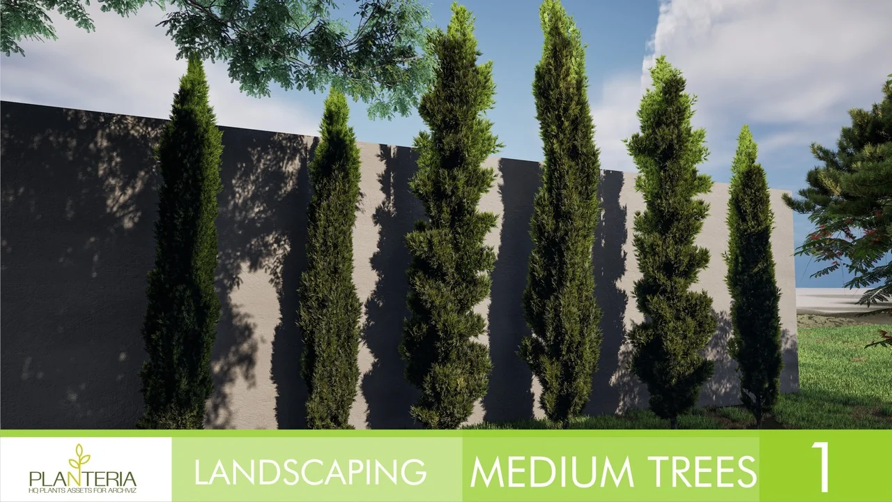 Landscaping Medium Trees Vol. 1 asset