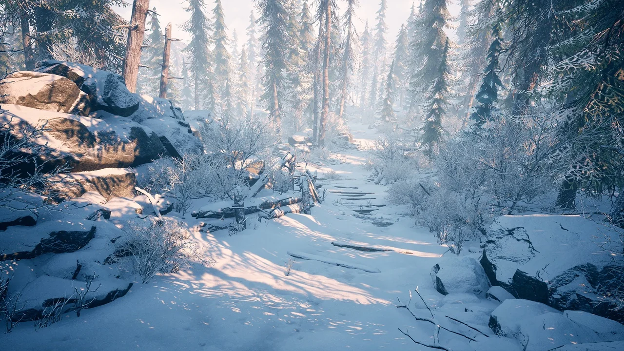 Winter Environment – Nature Pack asset