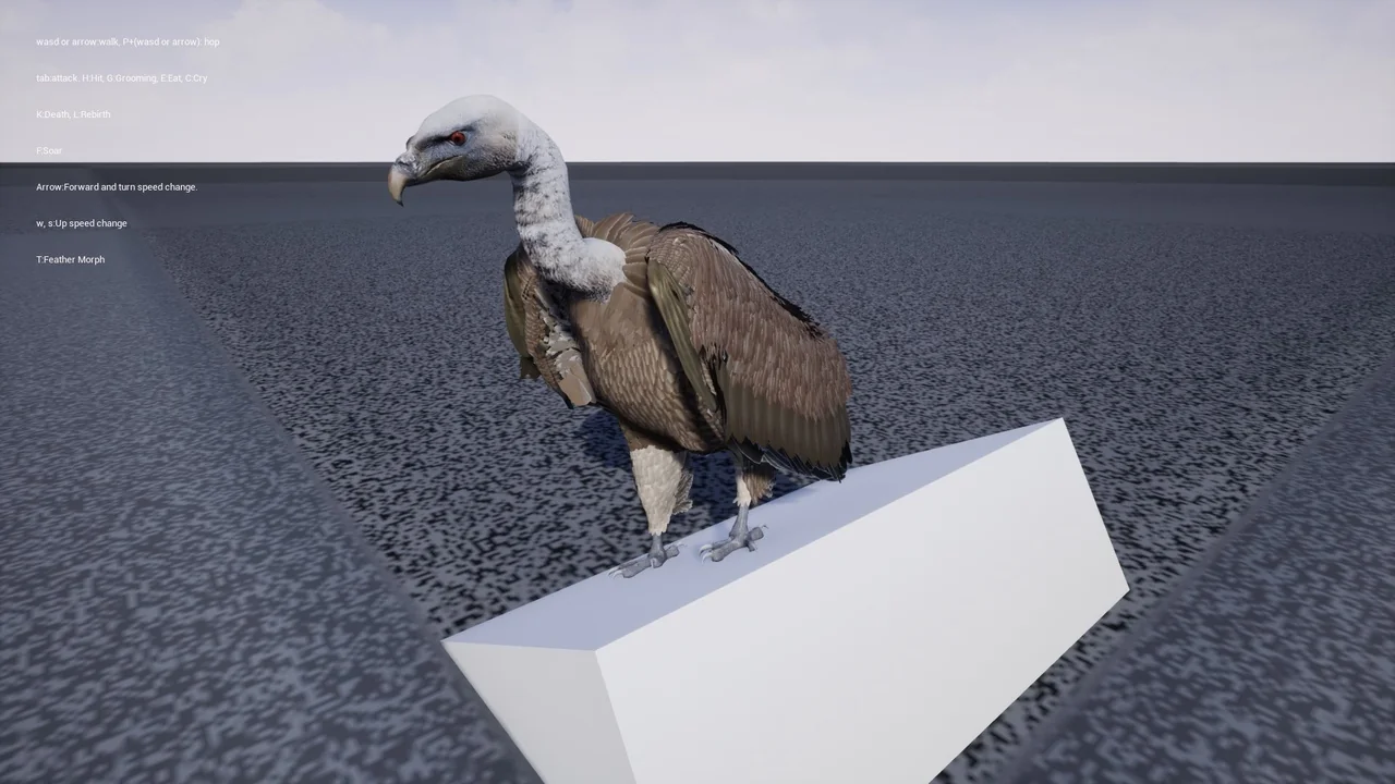 Vulture asset