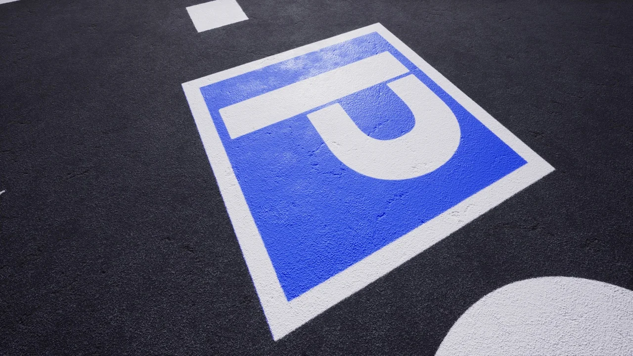 PROCEDURAL ROAD MARKINGS asset