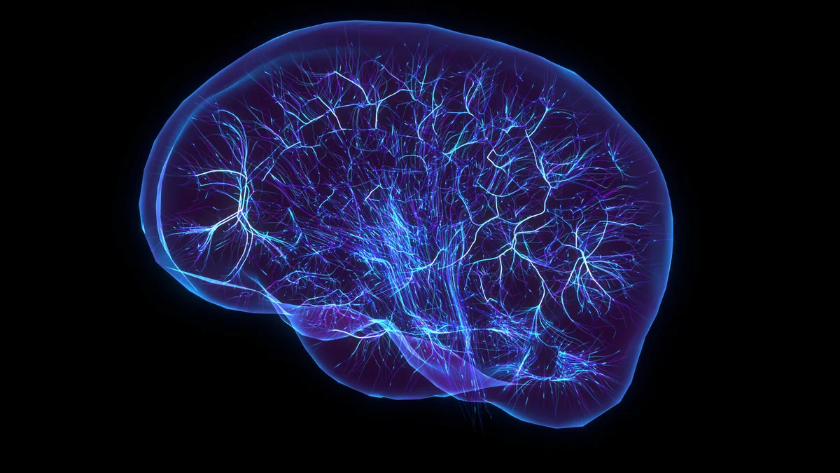 NeuroFractals Pack asset