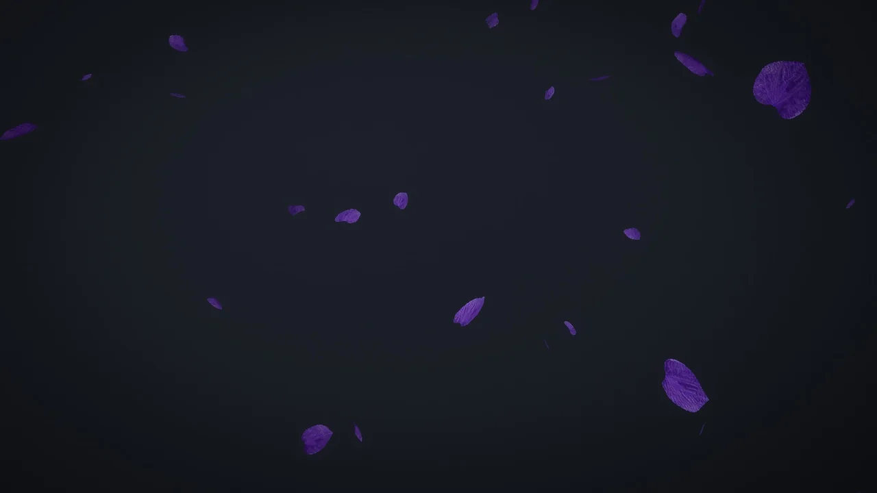 Environment VFX Pack – High Quality asset