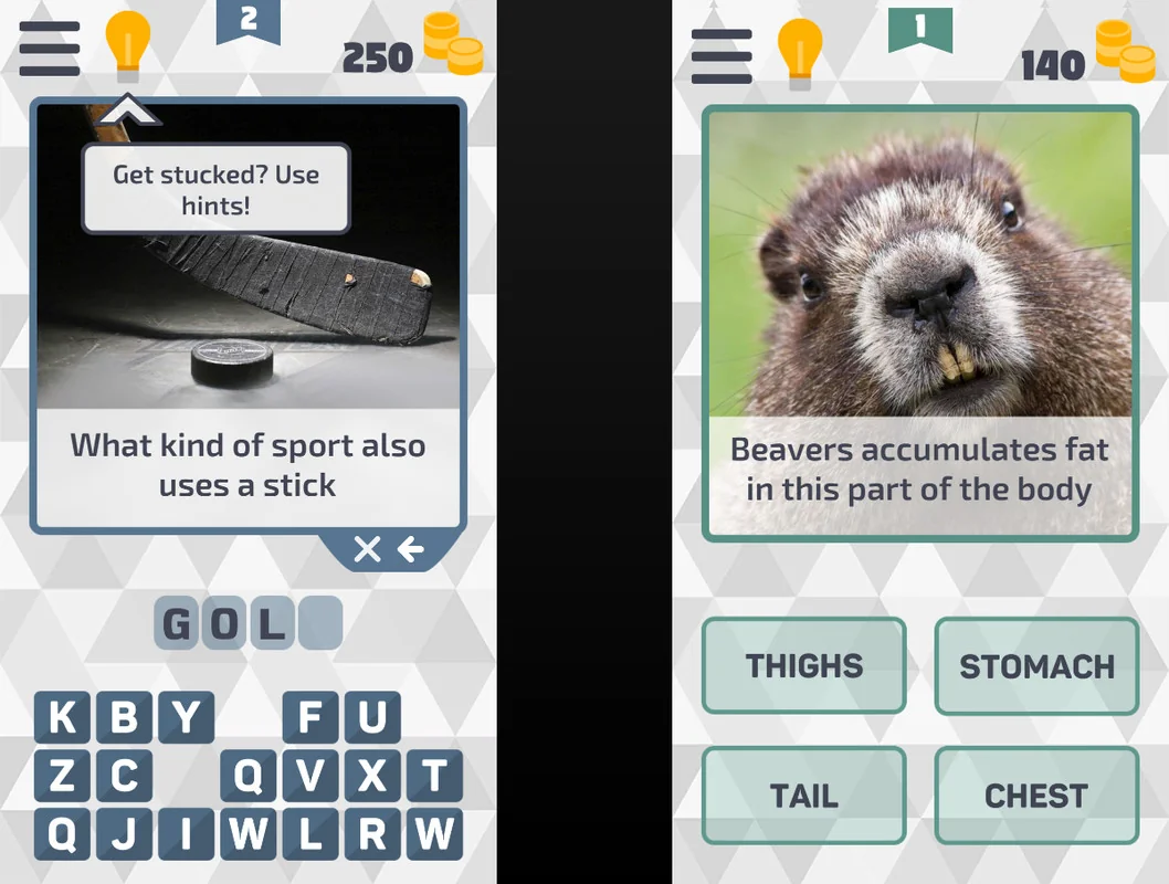 Picture Quiz Plus asset