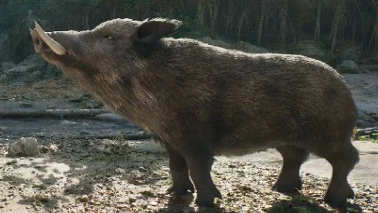 Realistic Boars