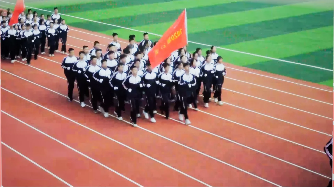 VideoFusionPlugin asset