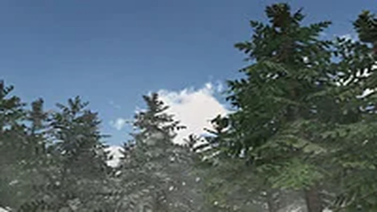 Detailed Pine Trees
