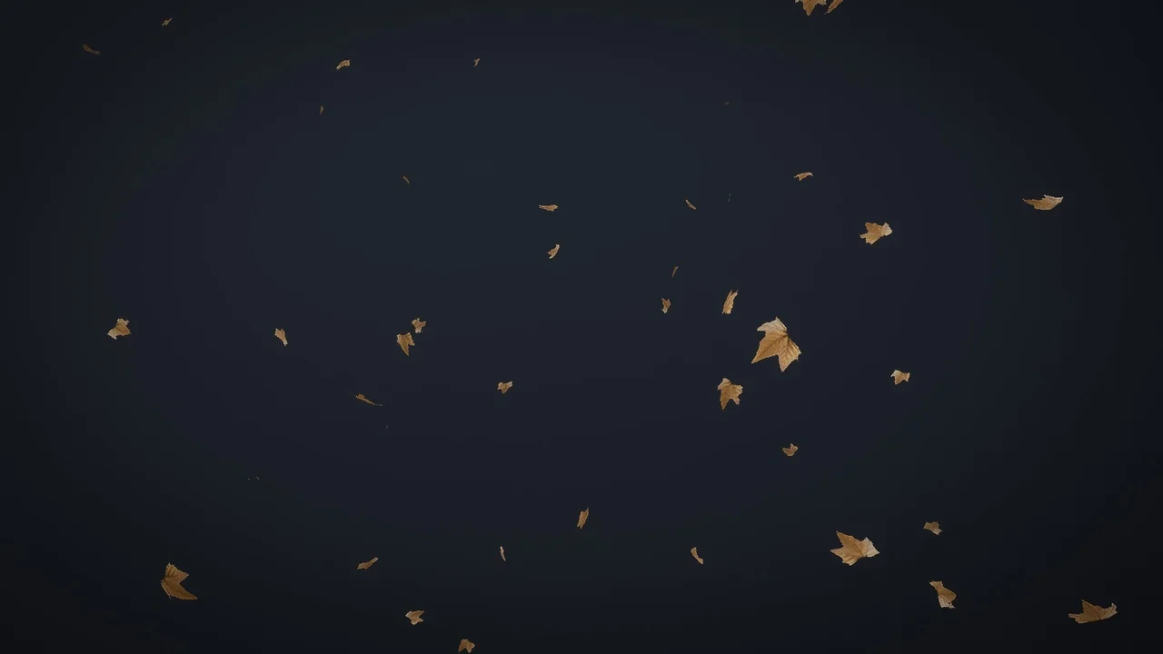 Environment VFX Pack – High Quality asset