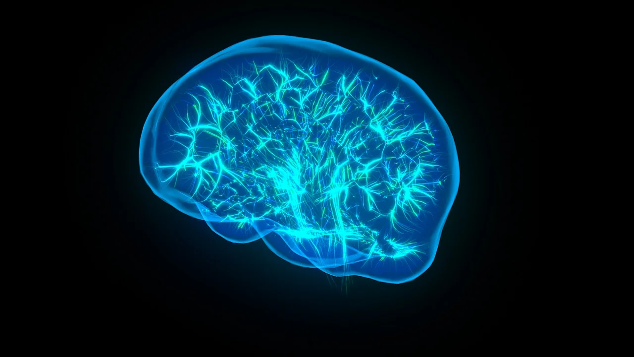 NeuroFractals Pack asset