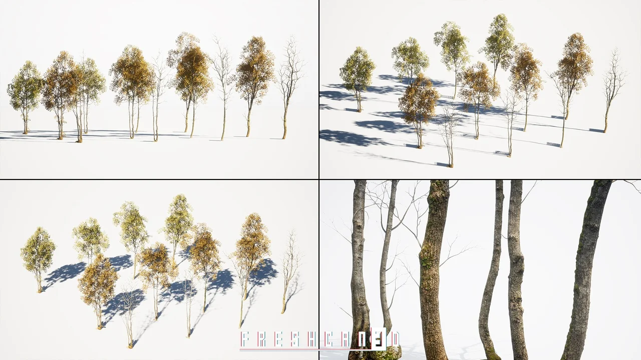 Survival Forest Cabin Bundle (Survival Environment, Forest House, Log House ) asset