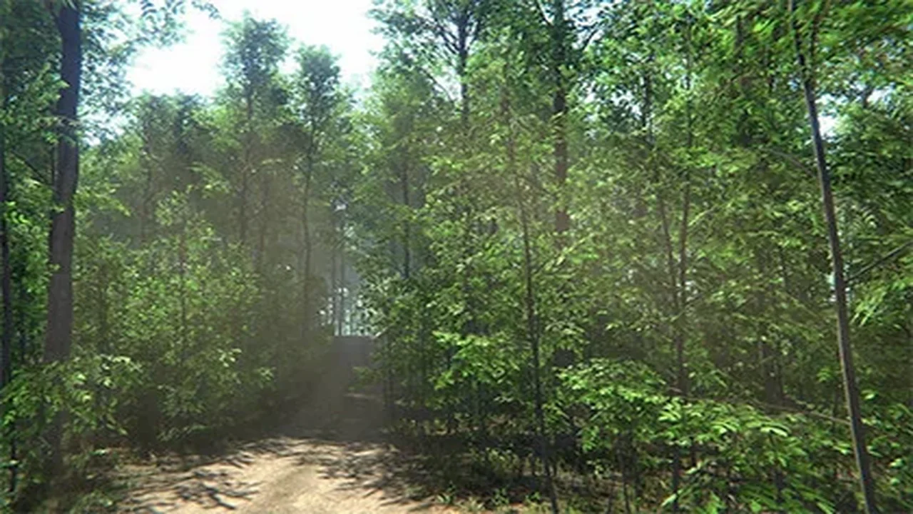 Nature Package - Forest Environment