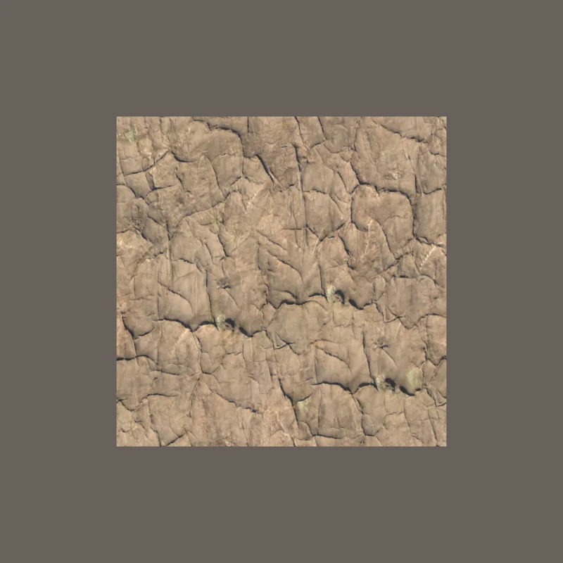 Surface Library asset