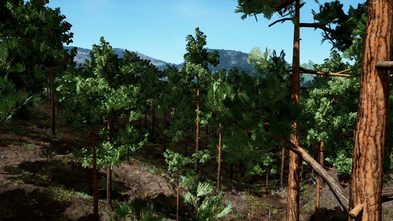 Procedural Nature Generator asset