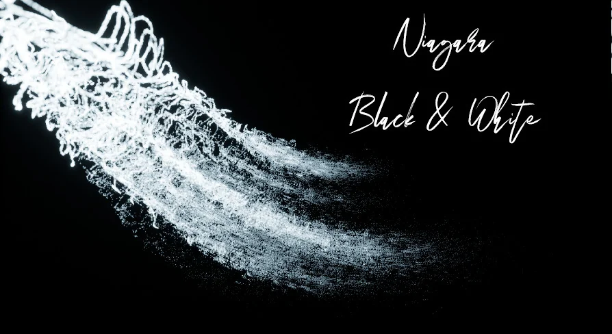 Niagara Black And White