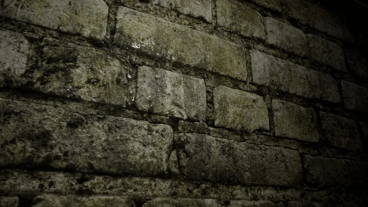 Cellar Materials asset