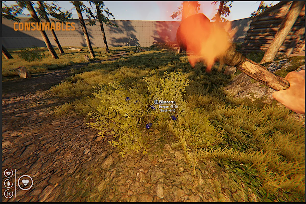 Survival Template PRO asset