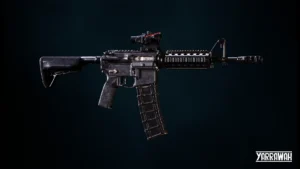 Custom AR-15 Style Rifle