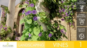 Landscaping Vines 1