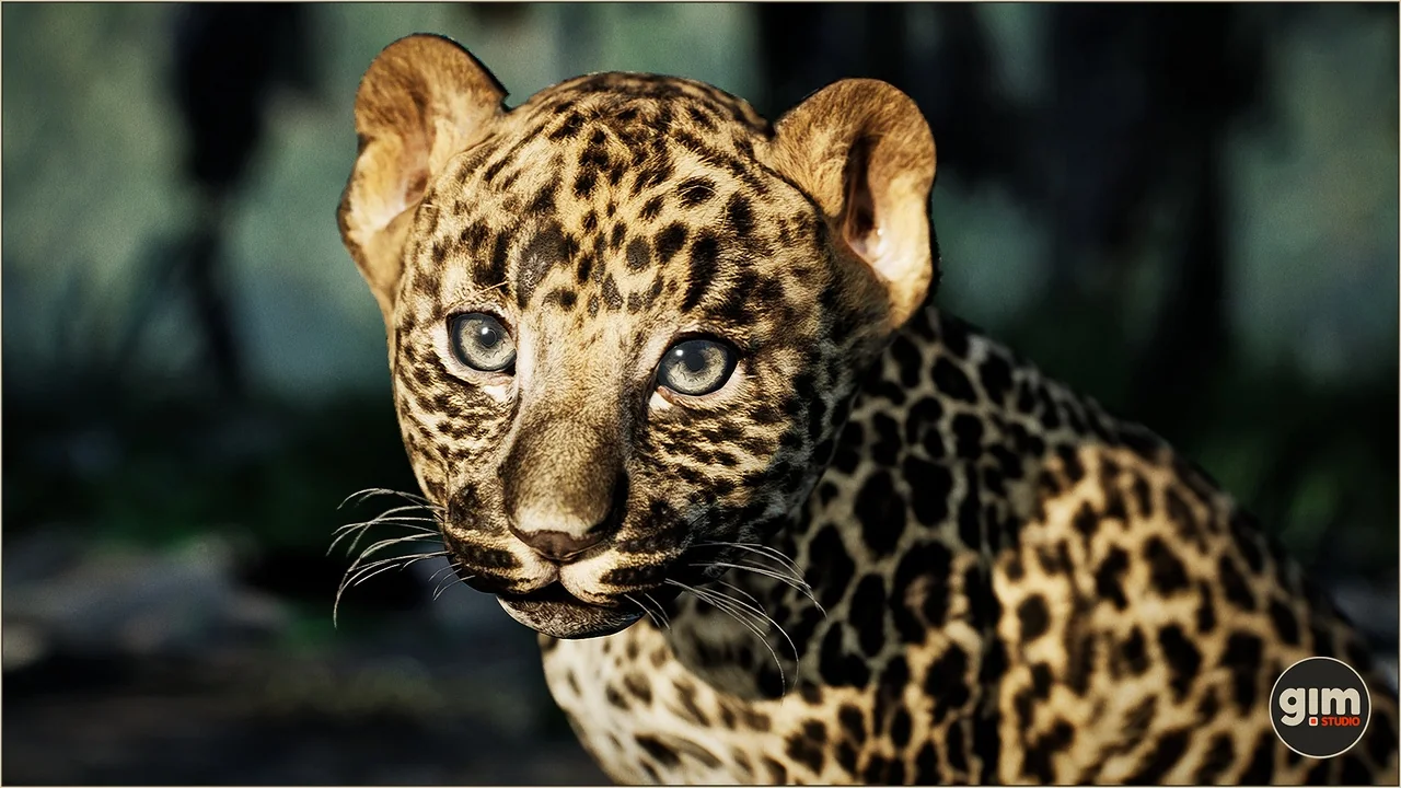 Animalia - Leopard (young)