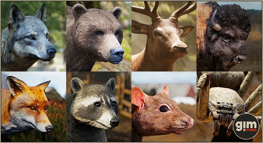 Animalia - Starter Kit