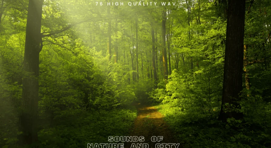 Sound Of Nature and City SFX Pack