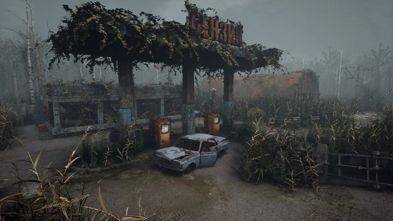 Swampy industrial zone