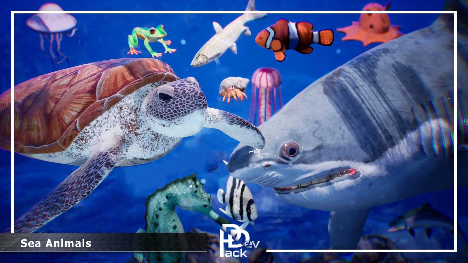 Sea Animals / 12 Meshes