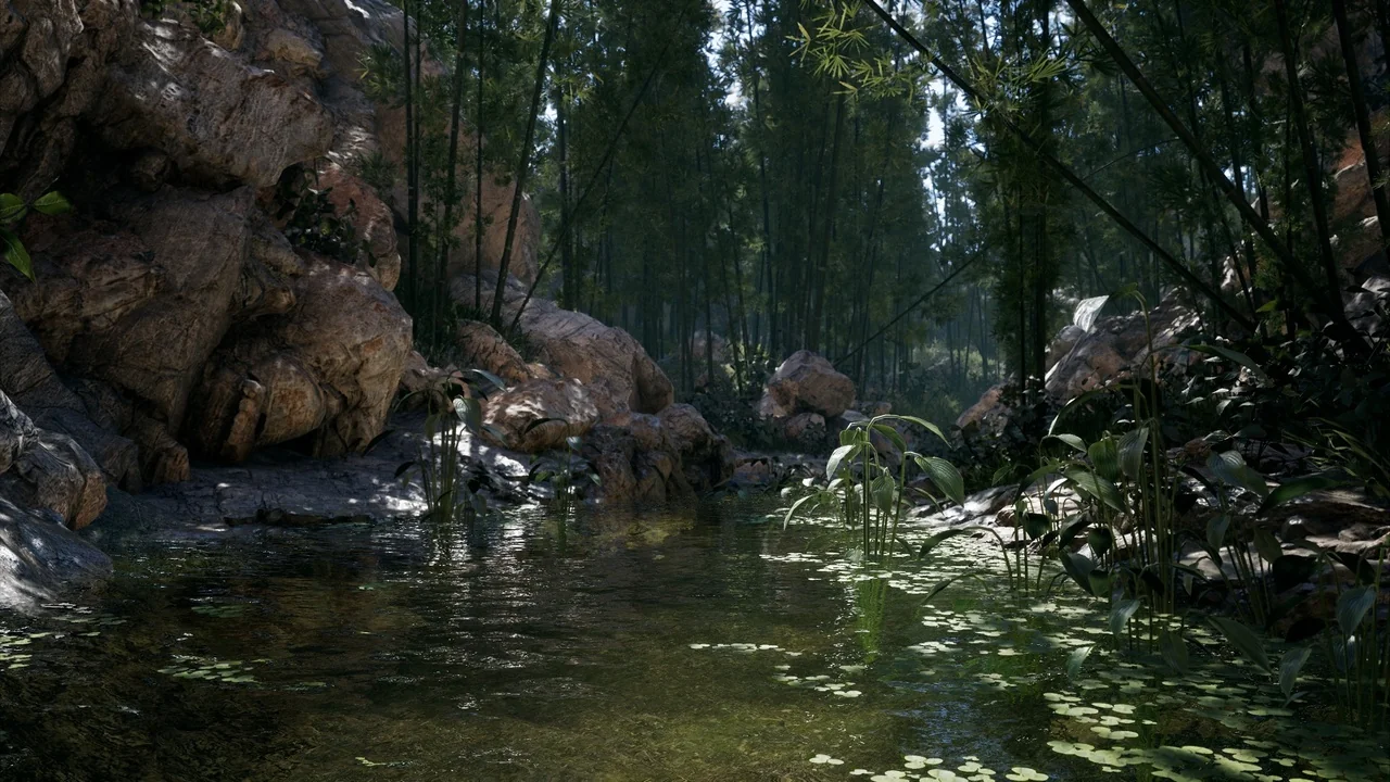 Bamboo Valley