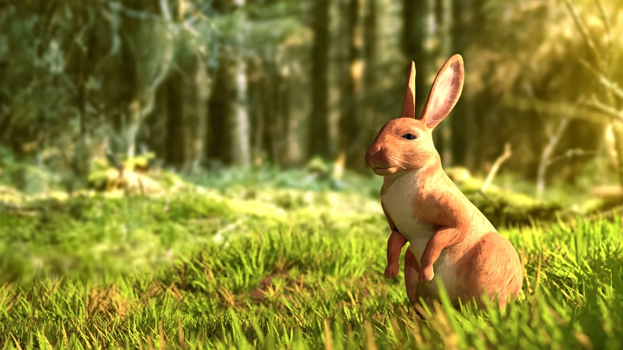 Realistic Rabbit