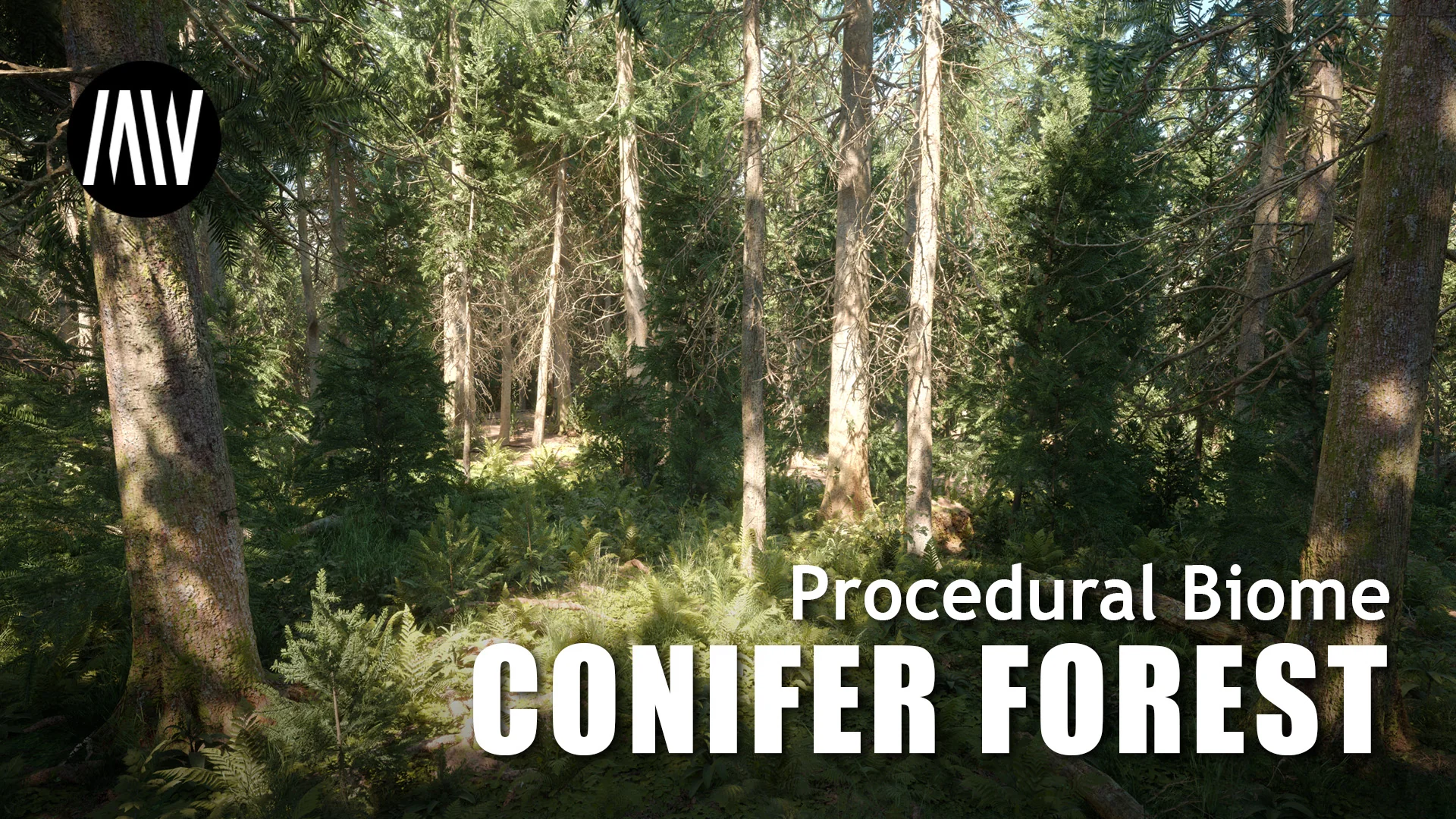 MW Conifer Forest Trees Biome