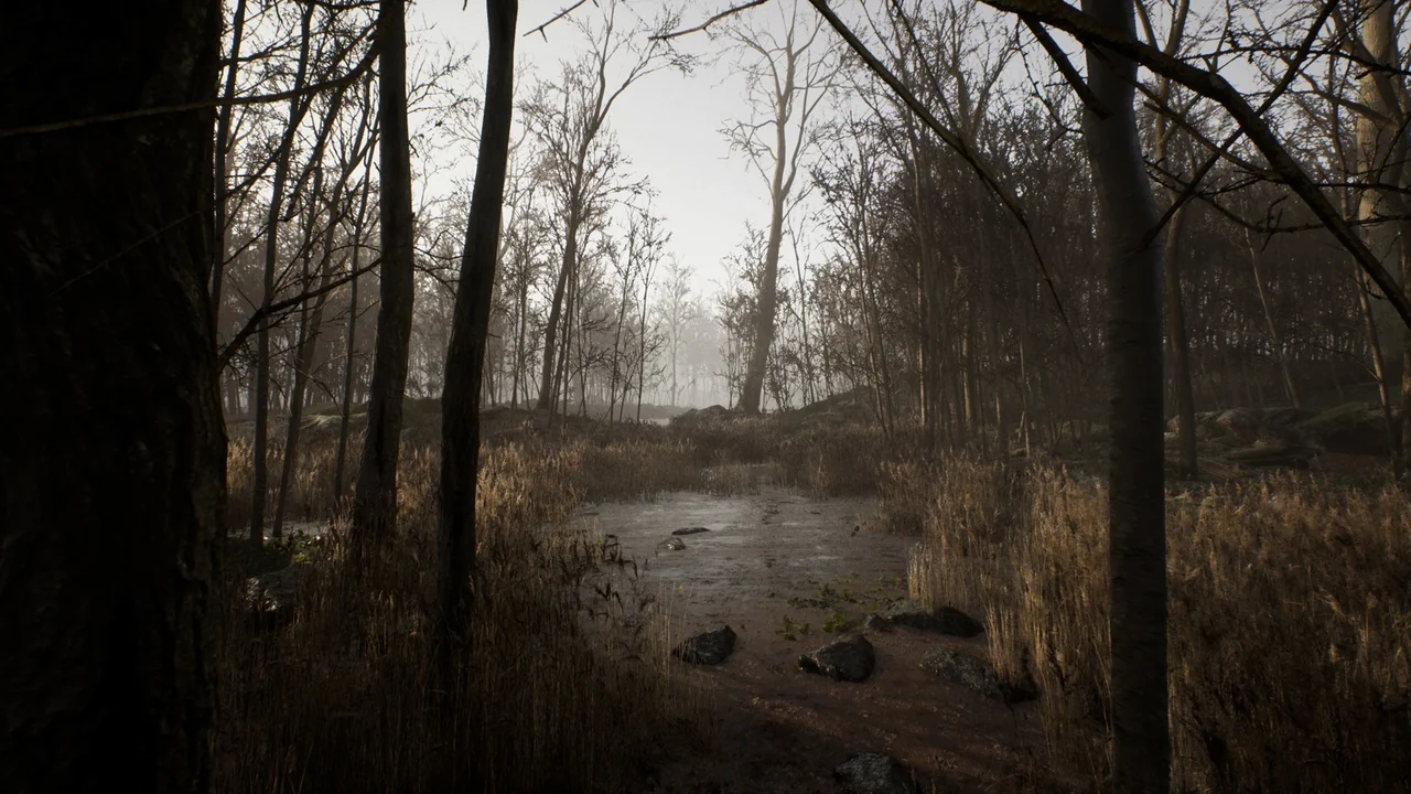 Procedural Forest
