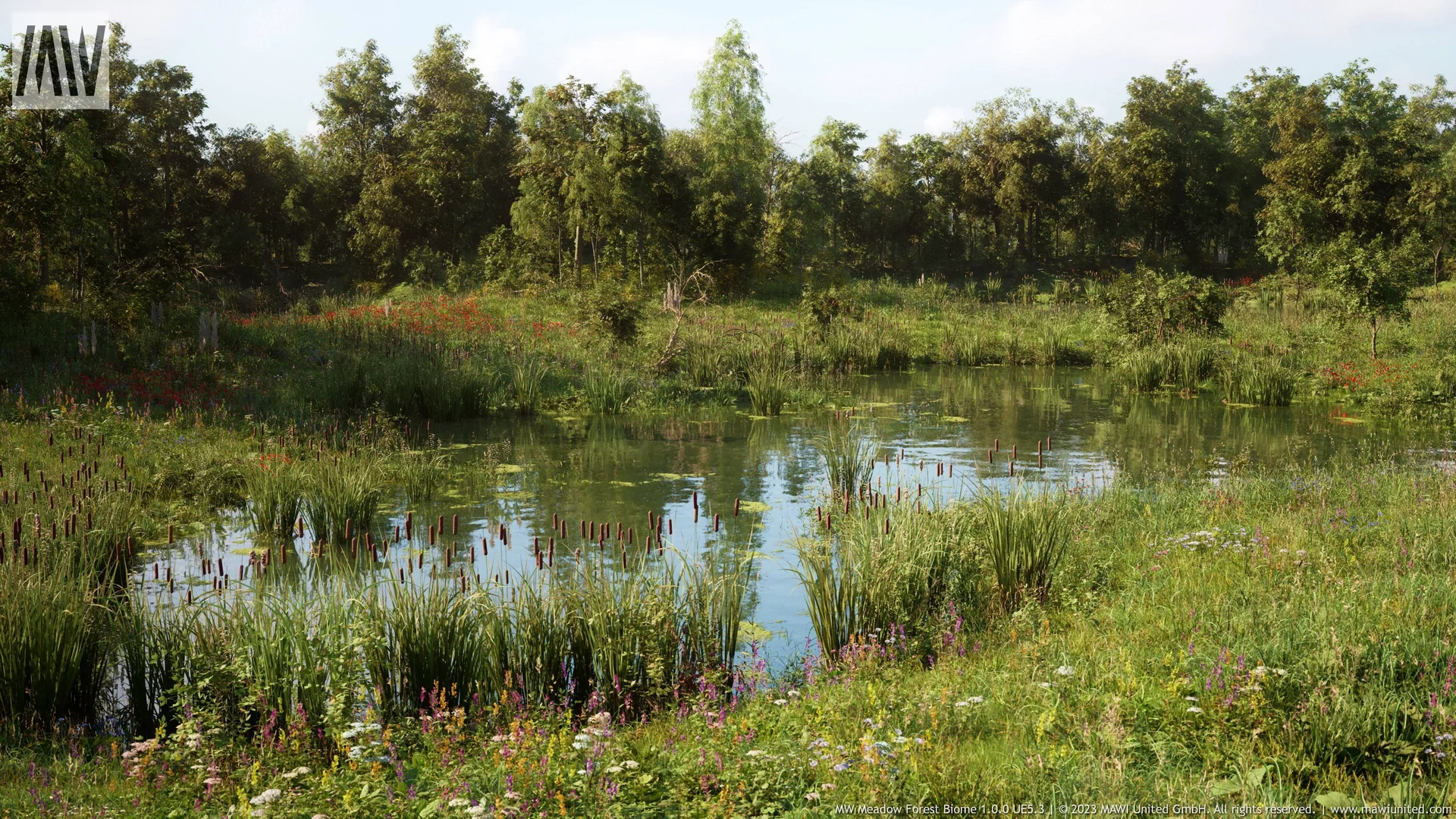 MW Meadow Forest Trees Biome