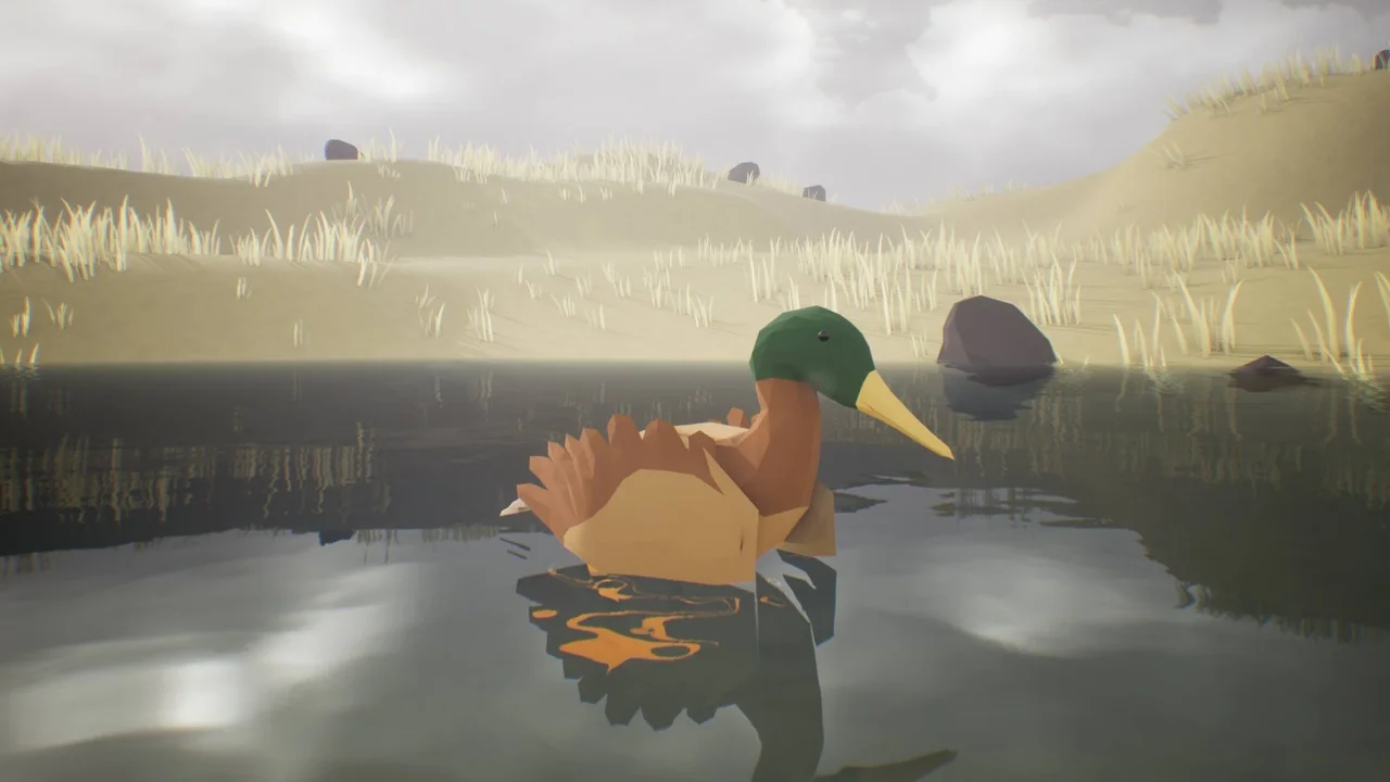 Low Poly Bird: Mallard Duck