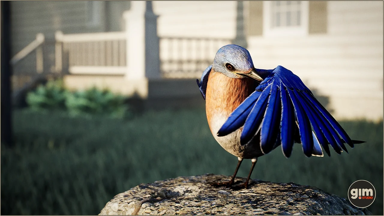 Animalia - Bluebird