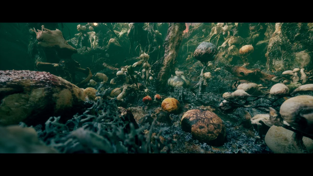 Alien Growth Environment