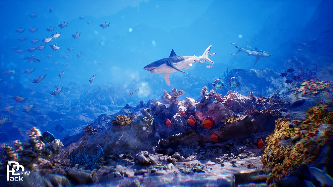 Ocean Floor Pack / High Quality Environment
