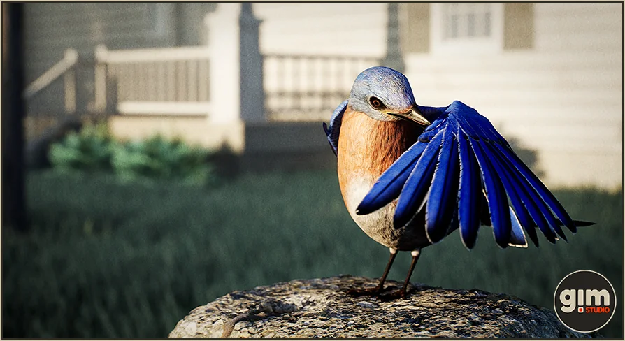 Animalia - Bluebird