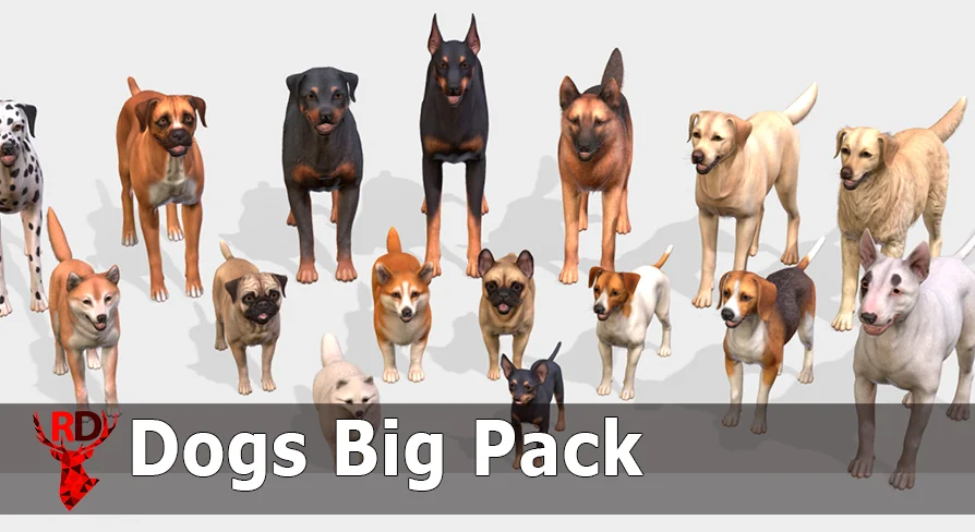 Dogs Big pack