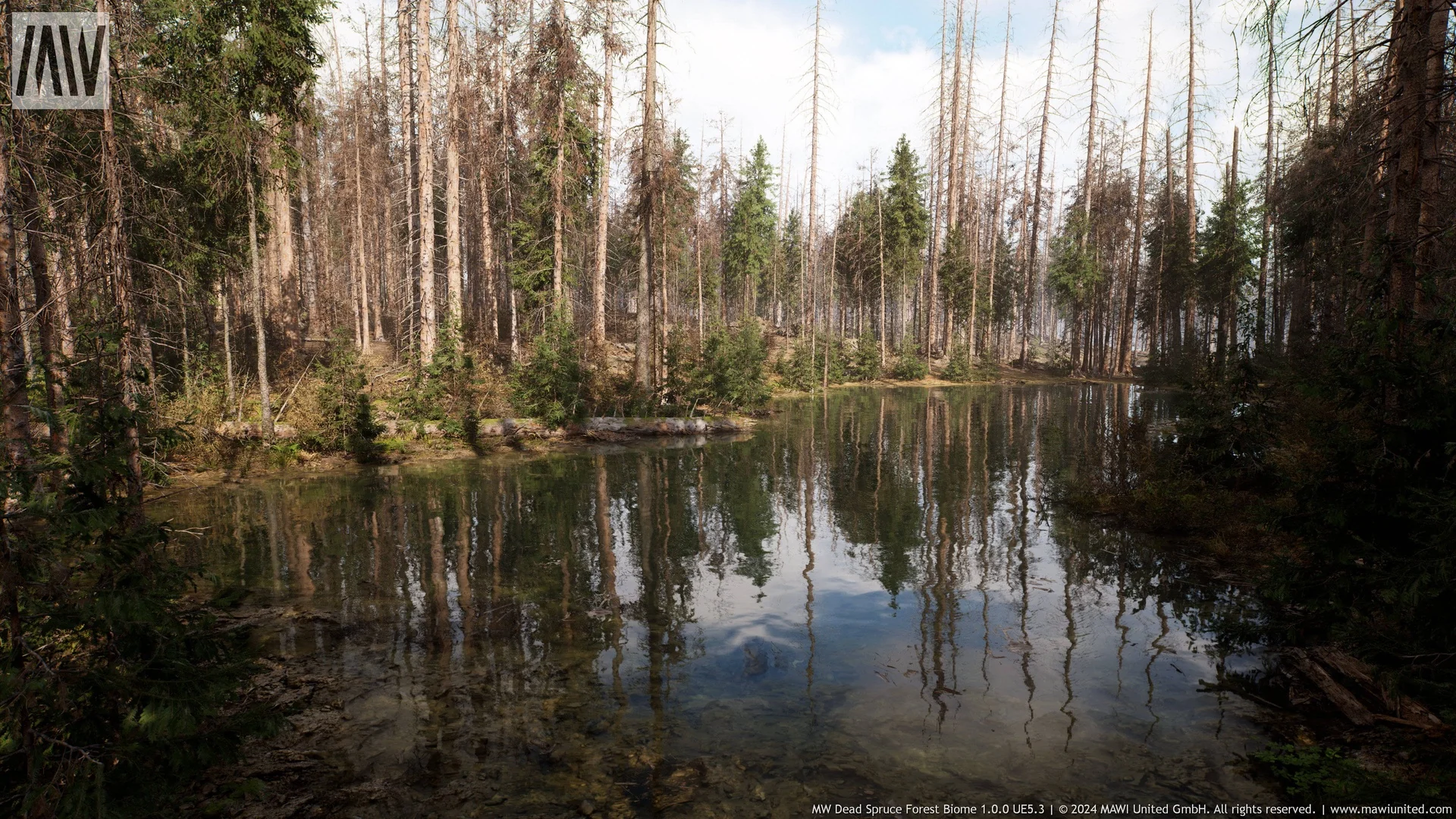 MW Dead Spruce Forest Trees Biome