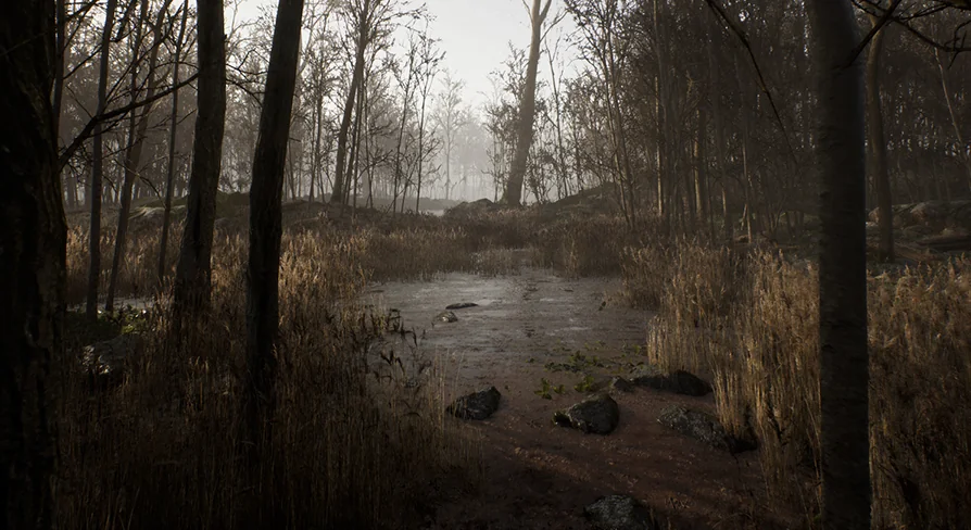 Procedural Forest