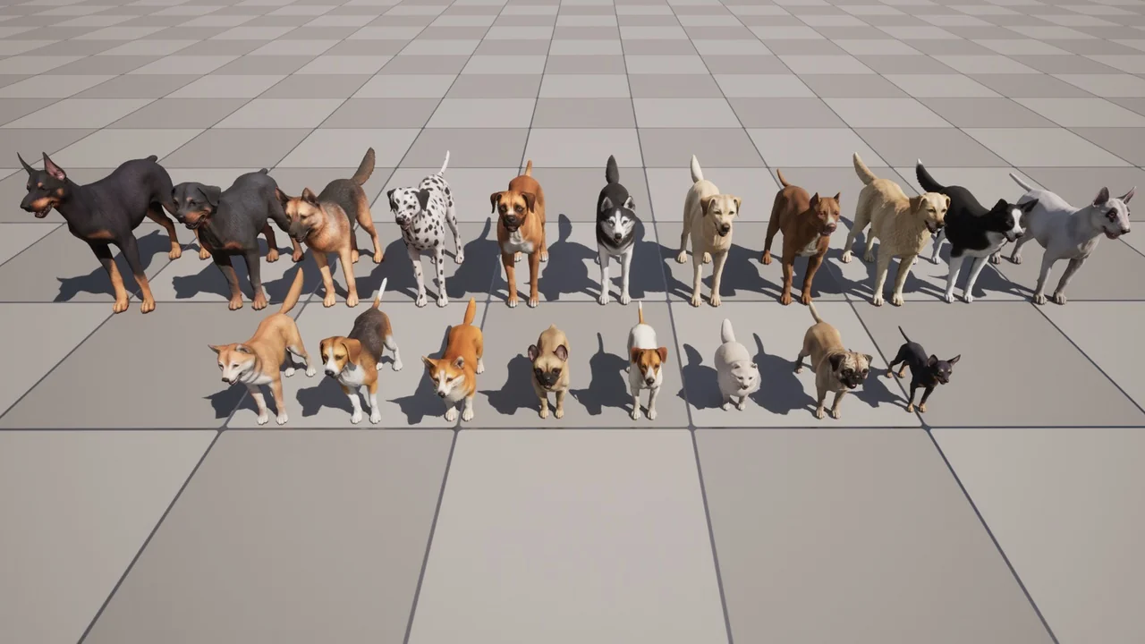 Dogs Big pack
