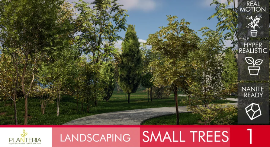 Landscaping Small Trees 1