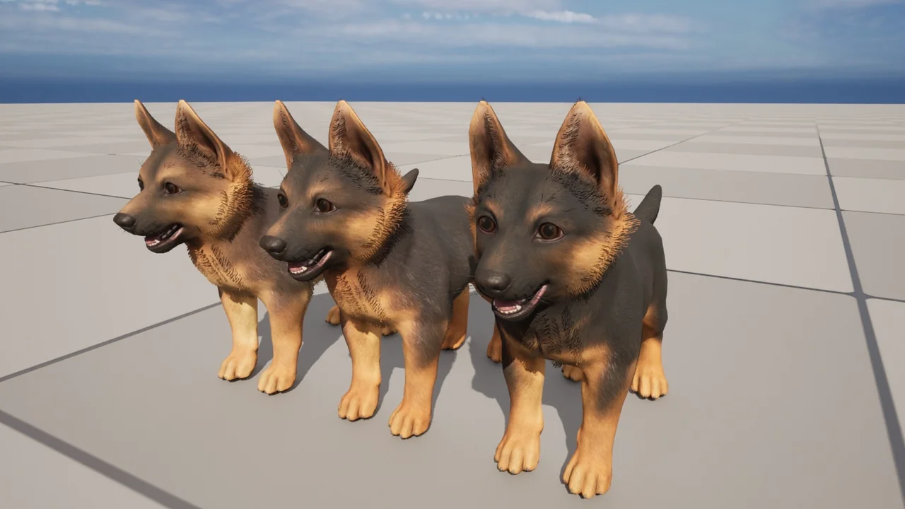 Puppy - Shepherd