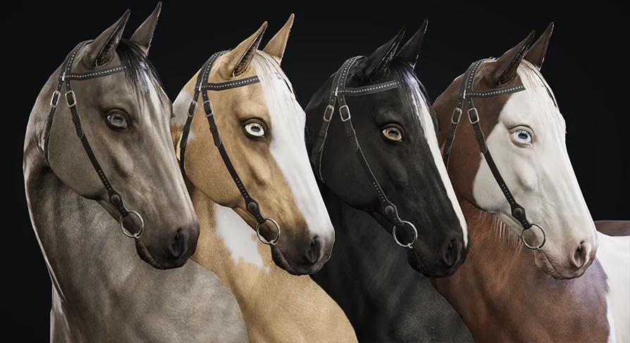 Horse Herd