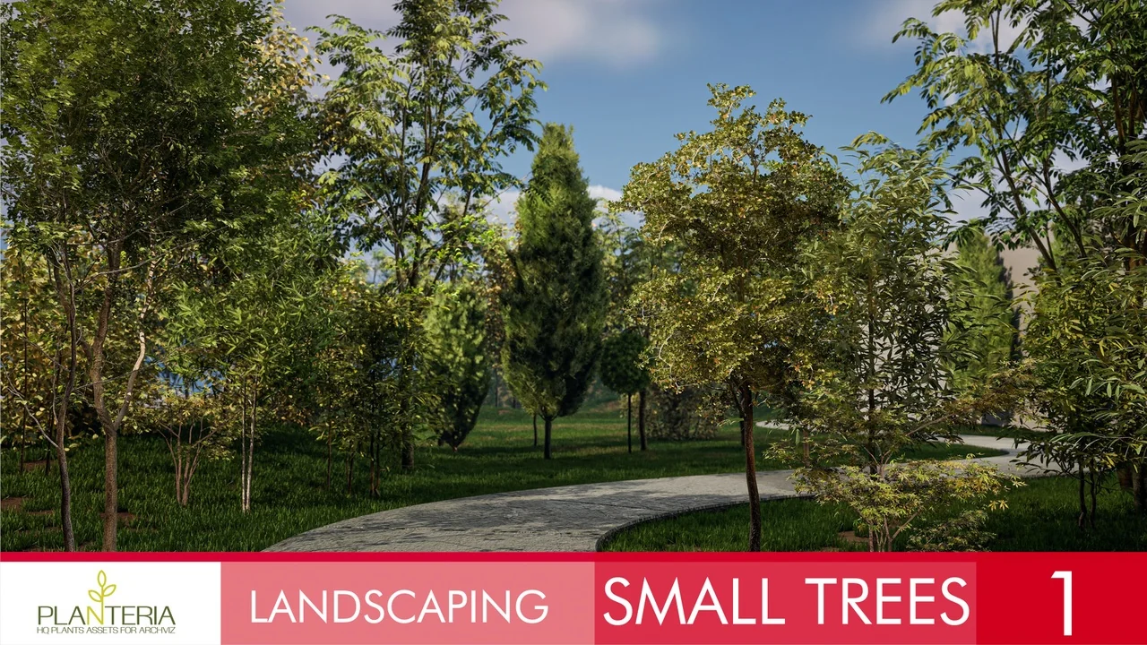 Landscaping Small Trees 1