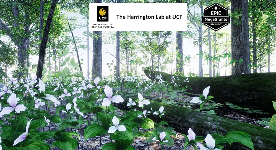 35 AR VR Northeastern US Plants and Ecosystems