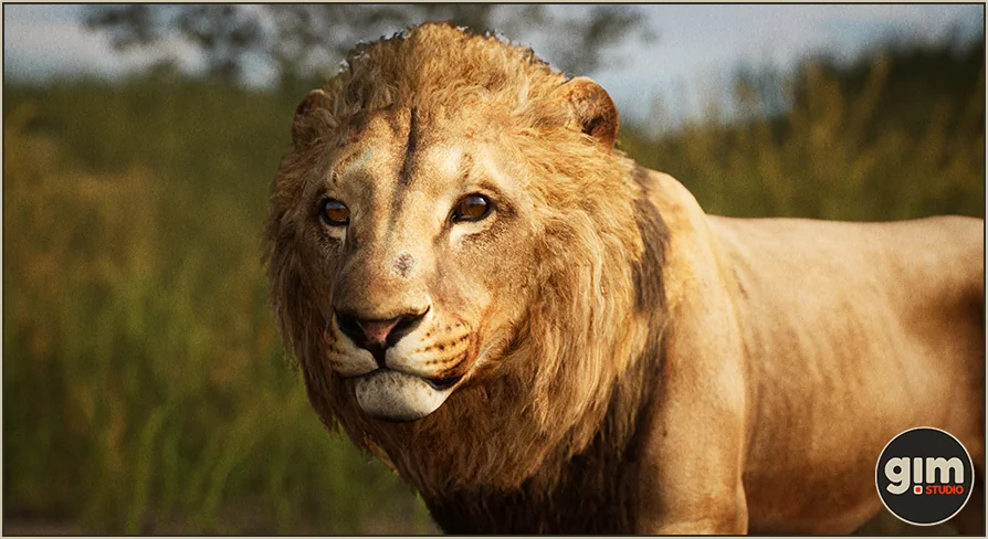 Animalia - Lion (male)