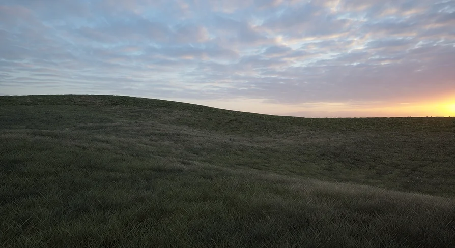 Grass Material - Premium