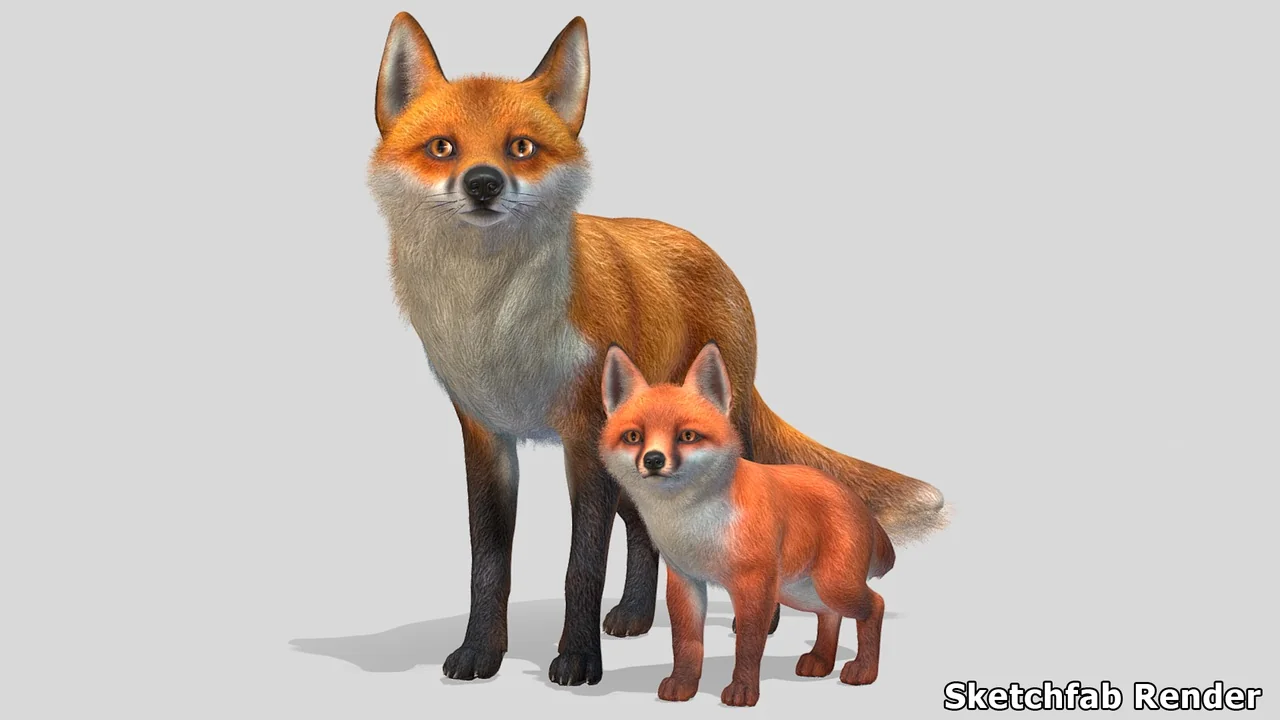 Fox - Family